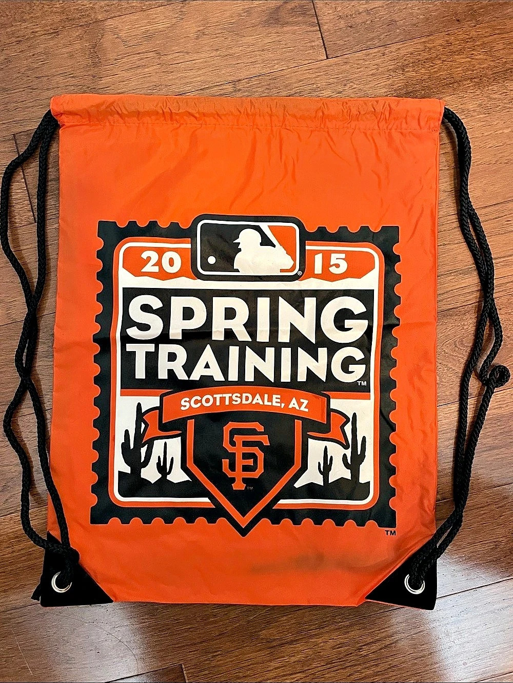 Major League Baseball San Francisco Giants 2015 Spring Training Scottsdale AZ